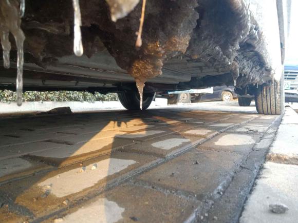 [济南·鲁A] 二手雪铁龙世嘉2016款 经典 三厢 1.6L 手动品尚型