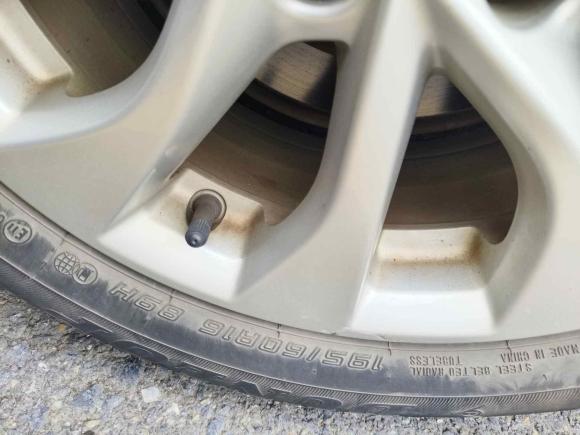 [佛山·粤C] 二手日产轩逸2019款 1.6XV CVT智联尊享版 国V