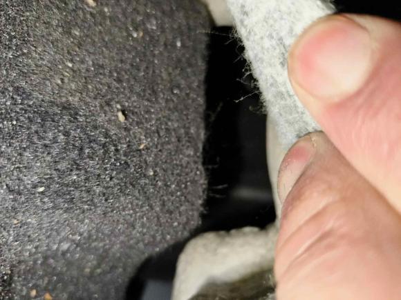 [合肥·皖A] 二手福特金牛座2017款 EcoBoost 245 时尚型