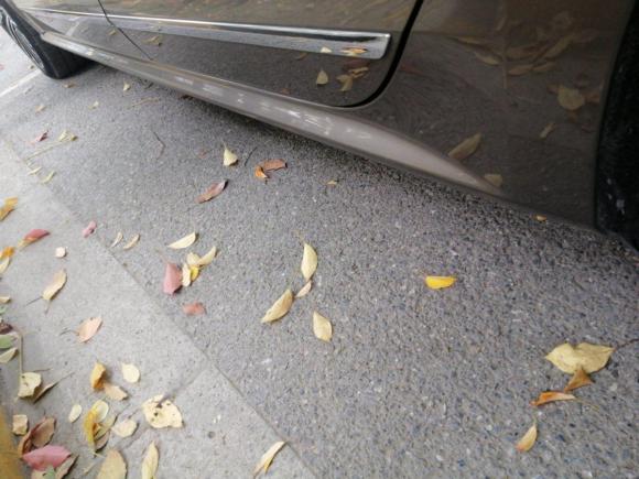 [上海·沪E] 二手大众帕萨特2011款 2.0TSI DSG至尊版