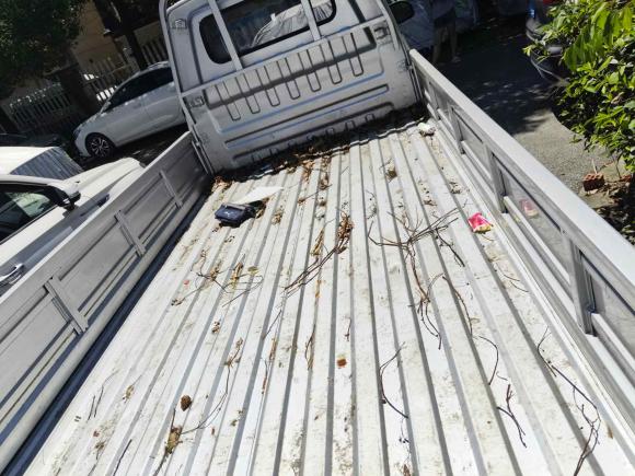 [苏州·豫J] 二手金杯金杯T32023款 1.5L超享型 单排3.1米