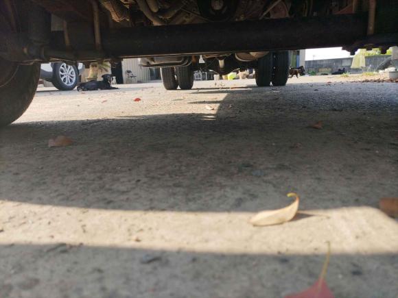 [上海·浙A] 二手长安凯程长安神骐T202020款 1.5L T20L国VI标准版双排DAM15KR