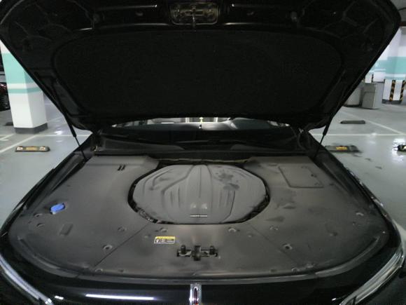 [嘉兴·浙F] 二手红旗红旗H92020款 2.0T 智联旗享版