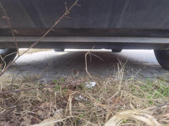 [金华·浙G] 二手保时捷Macan2017款  Macan 2.0T