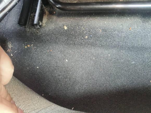 [无锡·苏B] 二手日产轩逸2019款 1.6XV CVT智联尊享版 国V