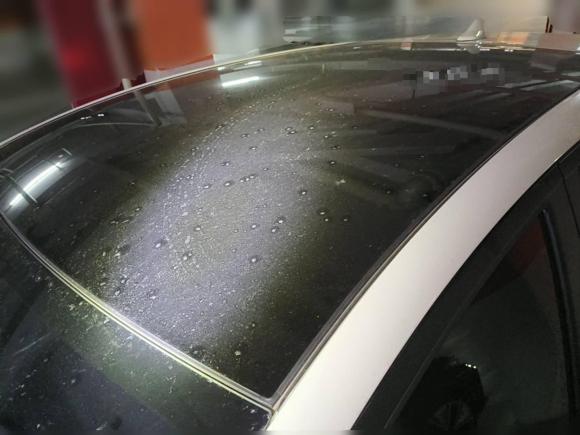 [合肥·皖A] 二手比亚迪海豚2023款 420km 时尚版