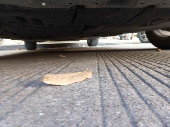 [台州·浙J] 二手丰田雷凌2021款 双擎 1.8H E-CVT进取版