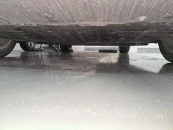 [上海·沪A] 二手欧拉欧拉好猫2021款 500km长续航 波塞冬版 三元锂