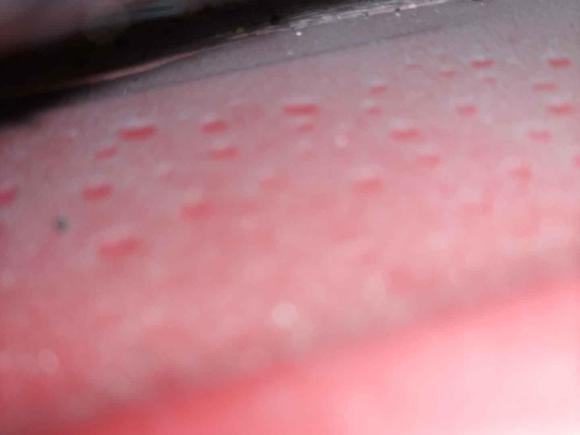 [佛山·粤E] 二手福特嘉年华2011款 两厢 1.5L 自动时尚型