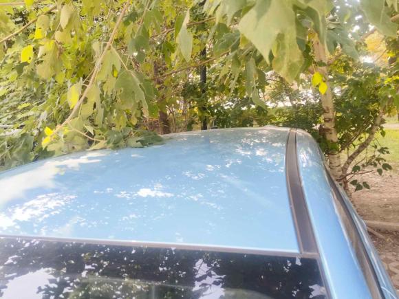 [南京·苏A] 二手欧拉欧拉黑猫2021款 351km 标准型