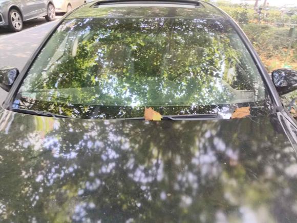 [上海·沪B] 二手丰田皇冠2018款 2.0T 运动版