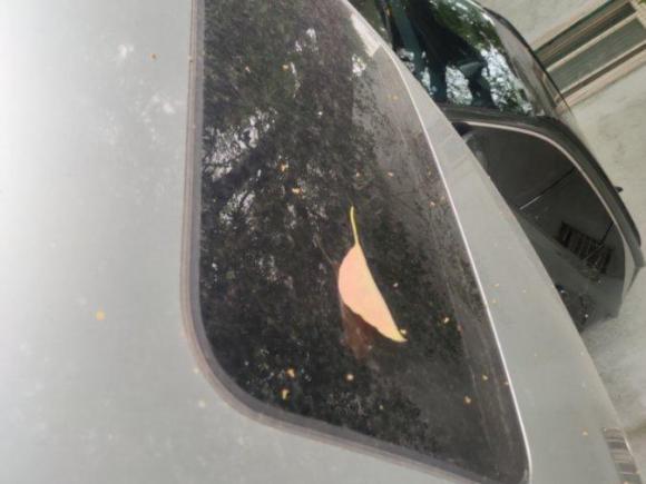 [上海·沪D] 二手日产轩逸2018款 经典 1.6XE+ CVT领先版