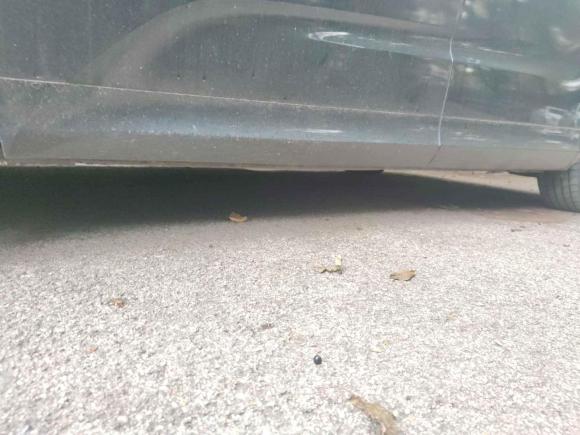 [南京·苏A] 二手本田奥德赛2015款 改款 2.4L 智享版