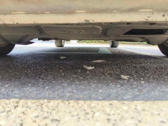 [金华·浙G] 二手大众Polo2011款 1.6L 自动致酷版