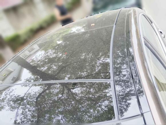 [上海·沪C] 二手奔驰奔驰S级2010款 S 600 L