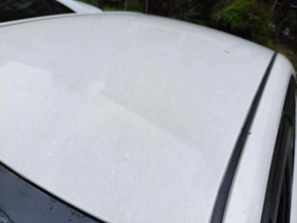 [上海·浙C] 二手丰田雷凌2021款 双擎 1.8H E-CVT领先版