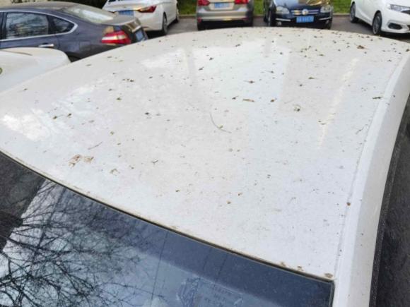 [西安·陕A] 二手斯柯达明锐2017款 经典款 1.6L 自动标准版