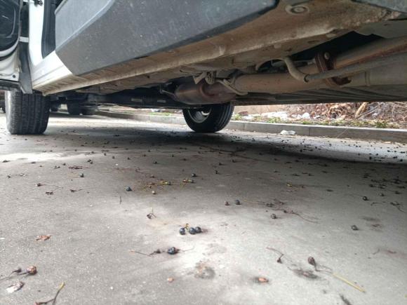 [无锡·苏B] 二手宝骏宝骏5302021款 全球车周年纪念版 1.5T 手动舒适型 6座