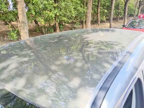 [上海·沪A] 二手欧拉欧拉白猫2020款 360km 豪华型