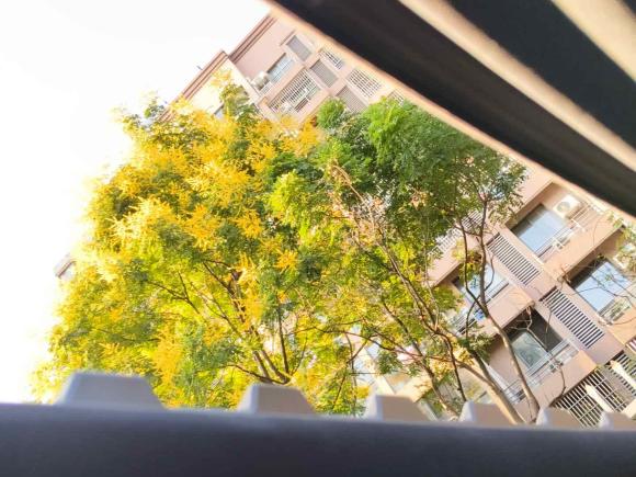 [杭州·浙F] 二手广汽传祺影豹2023款 400T 自动R PRO