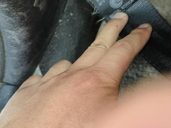 [西安·陕A] 二手现代雅科仕2006款 3.5普通型