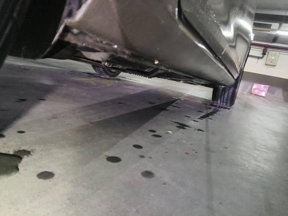 [上海·沪C] 二手大众高尔夫2015款 1.4TSI 自动舒适型