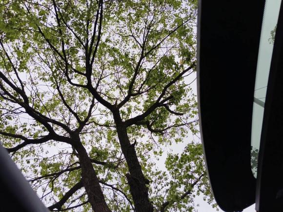 [上海·沪D] 二手MINIMINI2023款 2.0T COOPER S 艺术家 五门版