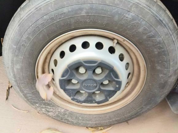 [深圳·粤B] 二手依维柯依维柯欧胜2021款 2.0T 手动超瑞短轴低顶手动门F1A