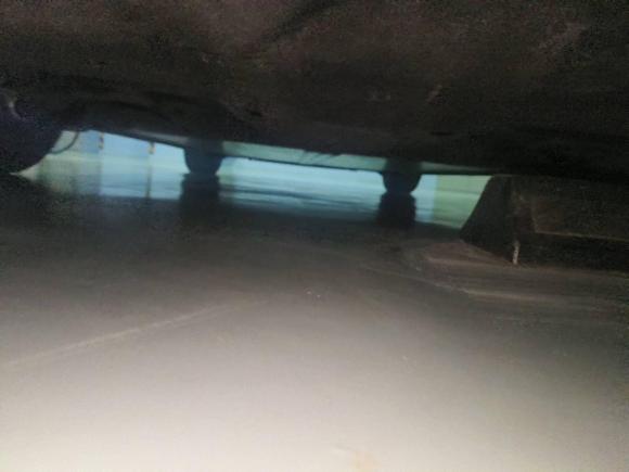 [上海·沪A] 二手特斯拉Model 32019款 标准续航后驱升级版