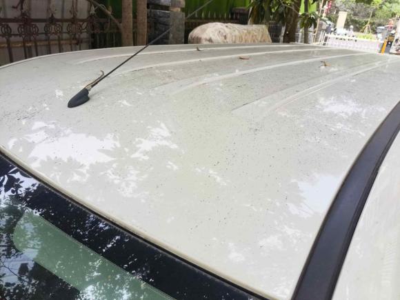 [温州·浙C] 二手江淮瑞风瑞风M32016款 宜家版 1.6L 豪华智能型