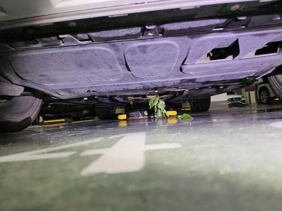 [无锡·苏B] 二手大众甲壳虫2017款 180TSI 沙丘越野版