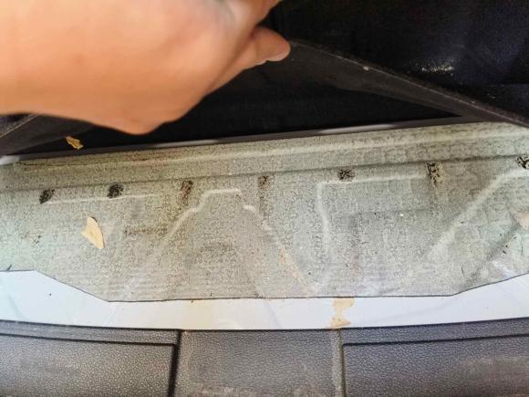 [西安·陕A] 二手宝马宝马3系2018款 320i M运动曜夜版