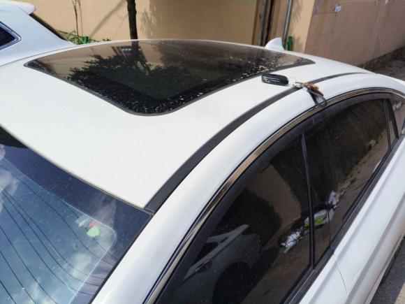 [青岛·鲁B] 二手红旗红旗H52022款 经典款 改款 1.8T 自动智联旗享版