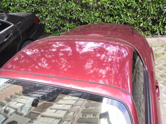 [上海·沪A] 二手马自达马自达MX-52009款 2.0