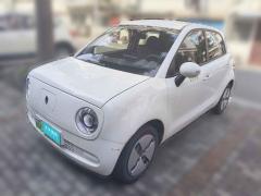 [常州·苏D] 欧拉欧拉黑猫2021款 301km 基础型