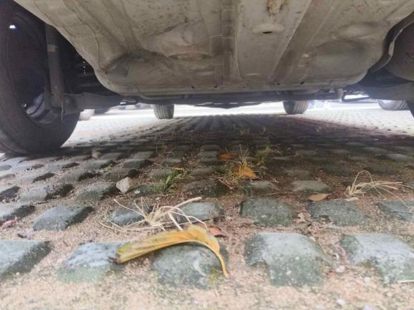 [青岛·鲁B] 二手本田哥瑞2016款 1.5L CVT经典版