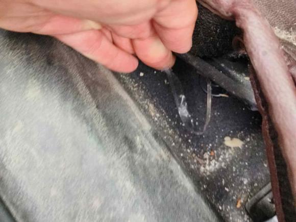 [湖州·浙E] 二手奥迪奥迪A4L2018款 30周年年型 40 TFSI 时尚型