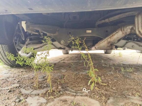 [青岛·鲁B] 二手别克别克GL82021款 Avenir艾维亚 四座尊礼版