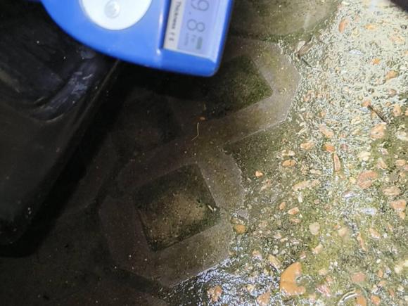 [南昌·赣M] 二手马自达马自达62011款 2.0L 自动时尚型