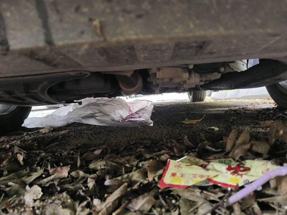 [苏州·苏U] 二手雪佛兰沃兰多2020款 轻混 Redline 530T 自动纵享版（5+2款）