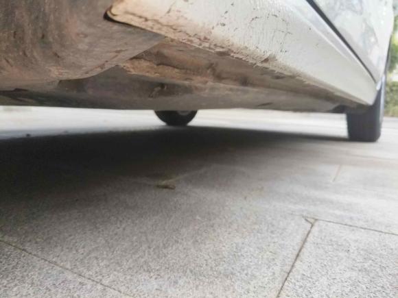 [青岛·鲁B] 二手大众Polo2021款 Plus 1.5L 自动全景乐享版