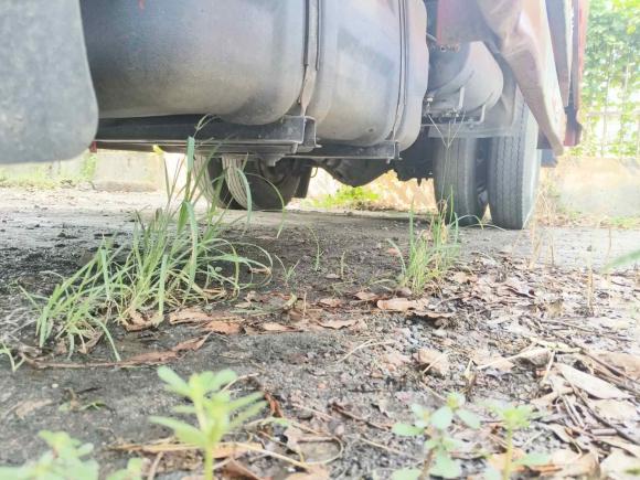 [嘉兴·浙A] 二手长安凯程长安神骐T202020款 1.5L 国VI标准版单排厢式DAM15KR