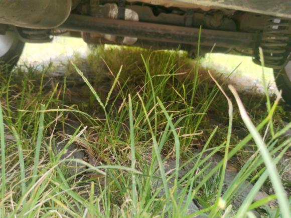 [嘉兴·浙F] 二手奇瑞艾瑞泽52017款 1.5L 手动精英版