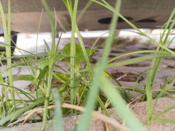 [合肥·皖A] 二手马自达马自达52011款 2.0L 自动豪华型