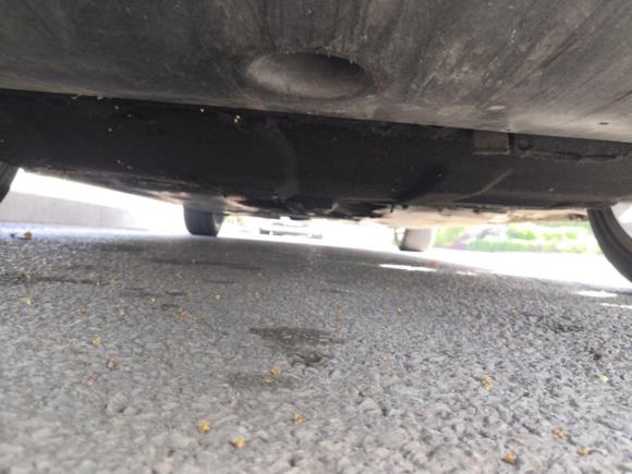 [上海·沪C] 二手红旗红旗H5经典2018款 30TD 智联韵动版