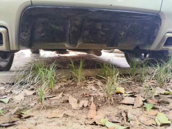 [西安·陕U] 二手路虎揽胜极光2012款 2.0T 5门耀动版