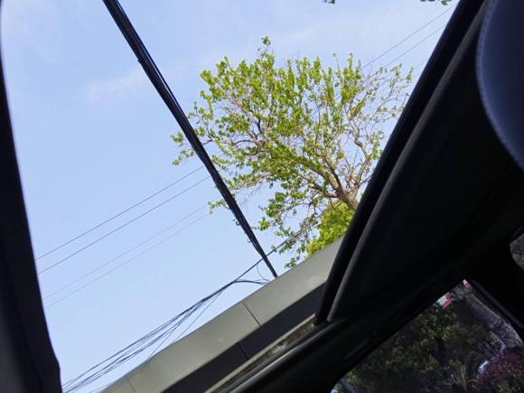 [台州·渝A] 二手日产奇骏2012款 2.5L CVT豪华版 4WD