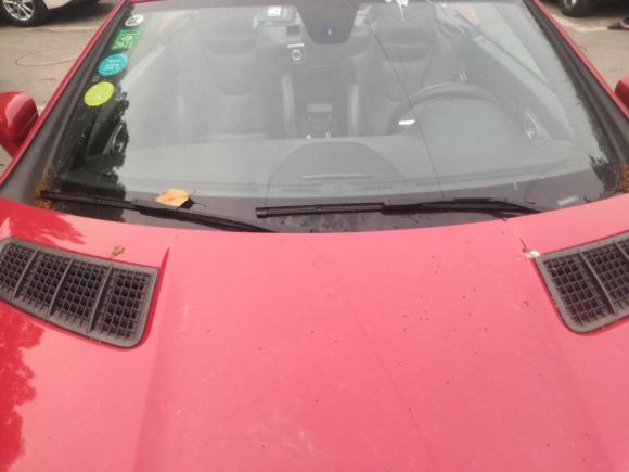 [上海·辽B] 二手奔驰奔驰SLK级2011款 SLK 200 时尚型