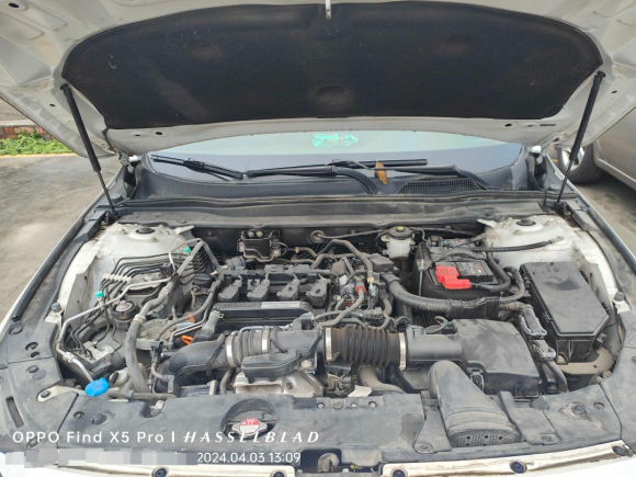 [成都·川A] 二手本田雅阁2018款 260TURBO 豪华版 国V