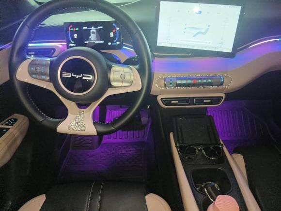 [杭州·浙A] 二手比亚迪海鸥2023款 自由版